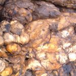 Proses Pengolahan Karet Alam Menggunakan Asap Cair