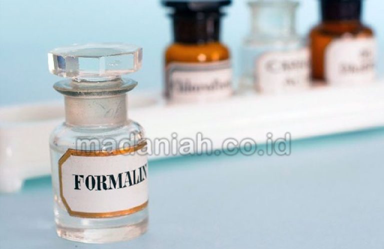 Bahan Pengawet Alami Pengganti Formalin Madaniah™