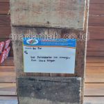 Pengiriman Desinfektan Alami Penghilang Bau Kandang Purwantoro