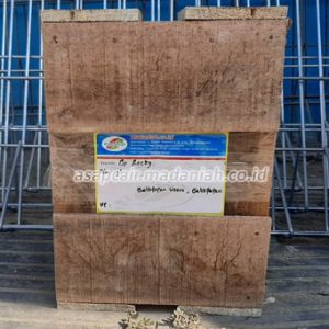 Produsen Toko Penjual Asap Cair Balikpapan Utara