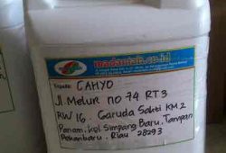 Pengiriman Asap Cair Tempurung Batok Kelapa Delima Pekanbaru Pengiriman Asap Cair Tempurung Batok Kelapa Delima Pekanbaru