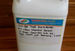 Pengiriman Asap Cair Tempurung Batok Kelapa Panceng Gresik Pengiriman Asap Cair Tempurung Batok Kelapa Panceng Gresik