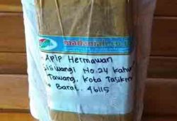 Pengiriman Asap Cair Tempurung Batok Kelapa Tawang Tasikmalaya Pengiriman Asap Cair Tempurung Batok Kelapa Tawang Tasikmalaya