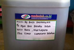 Pengiriman Asap Cair Tempurung Batok Kelapa Martapura Sumatera Selatan Pengiriman Asap Cair Tempurung Batok Kelapa Martapura Sumatera Selatan
