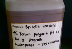 Pengiriman Asap Cair Tempurung Batok Kelapa Pengasih Kulon Progo Pengiriman Asap Cair Tempurung Batok Kelapa Pengasih Kulon Progo