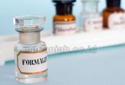 Bahan Pengawet Alami Pengganti Formalin Bahan Pengawet Alami Pengganti Formalin
