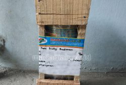 Pengiriman Asap Cair Tempurung Batok Kelapa Tanjung Priok Jakarta Utara Pengiriman Asap Cair Tempurung Batok Kelapa Tanjung Priok Jakarta Utara