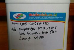 Pengiriman Asap Cair Tempurung Batok Kelapa Gabus Pati Pengiriman Asap Cair Tempurung Batok Kelapa Gabus Pati
