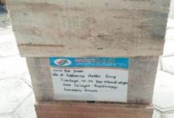 Pengiriman Asap Cair Tempurung Batok Kelapa Sumatera Barat Pengiriman Asap Cair Tempurung Batok Kelapa Sumatera Barat