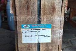 Pengiriman Desinfektan Alami Penghilang Bau Kandang Depok Pengiriman Desinfektan Alami Penghilang Bau Kandang Depok