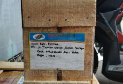 Pengiriman Asap Cair Tempurung Batok Kelapa Aceh Pengiriman Asap Cair Tempurung Batok Kelapa Aceh