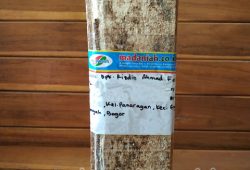 Pengiriman Asap Cair Tempurung Batok Kelapa Bogor Tengah Bogor Pengiriman Asap Cair Tempurung Batok Kelapa Bogor Tengah Bogor