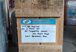 Pengiriman Asap Cair Tempurung Batok Kelapa Bukit Raya Pekanbaru Pengiriman Asap Cair Tempurung Batok Kelapa Bukit Raya Pekanbaru