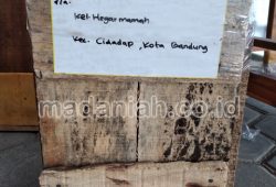 Pengiriman Asap Cair Tempurung Batok Kelapa Cidadap Bandung Pengiriman Asap Cair Tempurung Batok Kelapa Cidadap Bandung