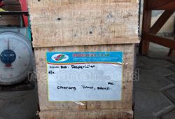 Pengiriman Asap Cair Tempurung Batok Kelapa Cikarang Timur Pengiriman Asap Cair Tempurung Batok Kelapa Cikarang Timur