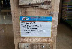 Pengiriman Asap Cair Tempurung Batok Kelapa Jakarta Selatan Pengiriman Asap Cair Tempurung Batok Kelapa Jakarta Selatan