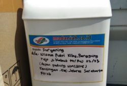 Pengiriman Asap Cair Tempurung Batok Kelapa Jebres Surakarta Pengiriman Asap Cair Tempurung Batok Kelapa Jebres Surakarta