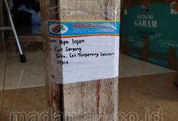 Pengiriman Asap Cair Tempurung Batok Kelapa Kecamatan Setu Pengiriman Asap Cair Tempurung Batok Kelapa Kecamatan Setu