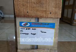 Pengiriman Asap Cair Tempurung Batok Kelapa Kedung Waringin Bogor Pengiriman Asap Cair Tempurung Batok Kelapa Kedung Waringin Bogor