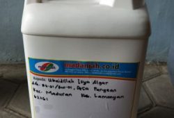 Pengiriman Asap Cair Tempurung Batok Kelapa Maduran Lamongan Pengiriman Asap Cair Tempurung Batok Kelapa Maduran Lamongan