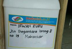 Pengiriman Asap Cair Tempurung Batok Kelapa Panakkukang Makassar Pengiriman Asap Cair Tempurung Batok Kelapa Panakkukang Makassar