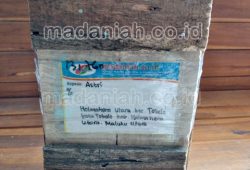 Pengiriman Asap Cair Tempurung Batok Kelapa Maluku Utara Pengiriman Asap Cair Tempurung Batok Kelapa Maluku Utara