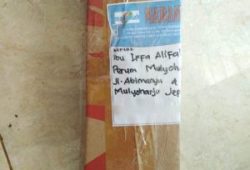 Pengiriman Asap Cair Tempurung Batok Kelapa Mulyoharjo Jepara Pengiriman Asap Cair Tempurung Batok Kelapa Mulyoharjo Jepara