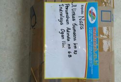 Pengiriman Asap Cair Tempurung Batok Kelapa Sumatera Selatan Pengiriman Asap Cair Tempurung Batok Kelapa Sumatera Selatan
