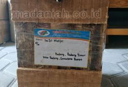 Pengiriman Asap Cair Tempurung Batok Kelapa Padang Sumatera Barat Pengiriman Asap Cair Tempurung Batok Kelapa Padang Sumatera Barat