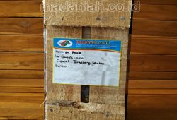 Pengiriman Asap Cair Tempurung Batok Kelapa Sawah Lama Tangerang Pengiriman Asap Cair Tempurung Batok Kelapa Sawah Lama Tangerang