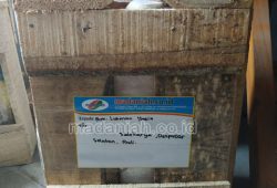 Pengiriman Asap Cair Tempurung Batok Kelapa Sidakarya Denpasar Pengiriman Asap Cair Tempurung Batok Kelapa Sidakarya Denpasar