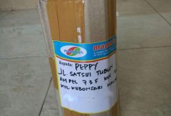 Pengiriman Asap Cair Tempurung Batok Kelapa Sukun Malang Pengiriman Asap Cair Tempurung Batok Kelapa Sukun Malang