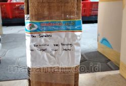Pengiriman Asap Cair Tempurung Batok Kelapa Waru Bogor Pengiriman Asap Cair Tempurung Batok Kelapa Waru Bogor