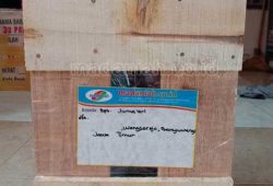 Pengiriman Asap Cair Tempurung Batok Kelapa Wongsorejo Banyuwangi Pengiriman Asap Cair Tempurung Batok Kelapa Wongsorejo Banyuwangi